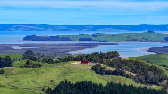 Kaipara harbour